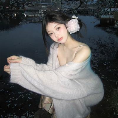 暴风雪中的白鸟